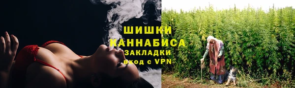 ALPHA PVP Краснослободск