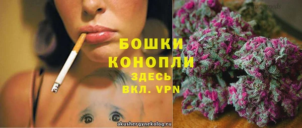 прущая мука Корсаков