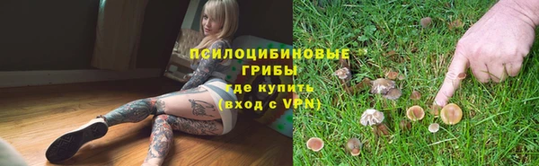 МДПВ Костерёво
