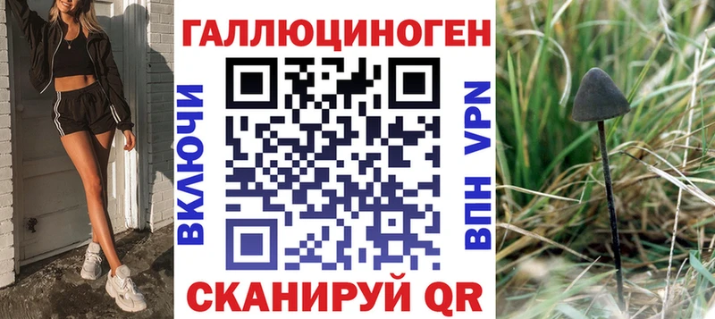 Псилоцибиновые грибы MAGIC MUSHROOMS  сколько стоит  Мещовск 